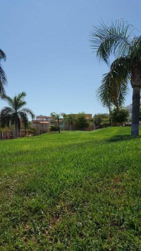 grassView