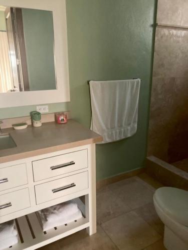 Guest bath 