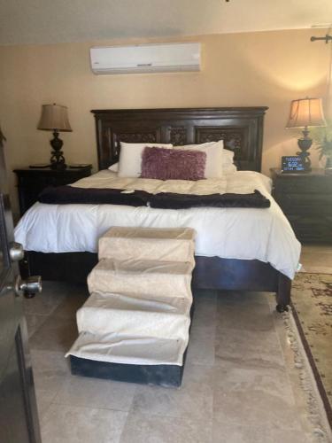 Master bed steps up